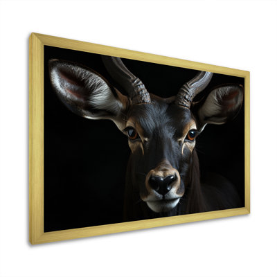 Keillan " Antelope Portrait II "
