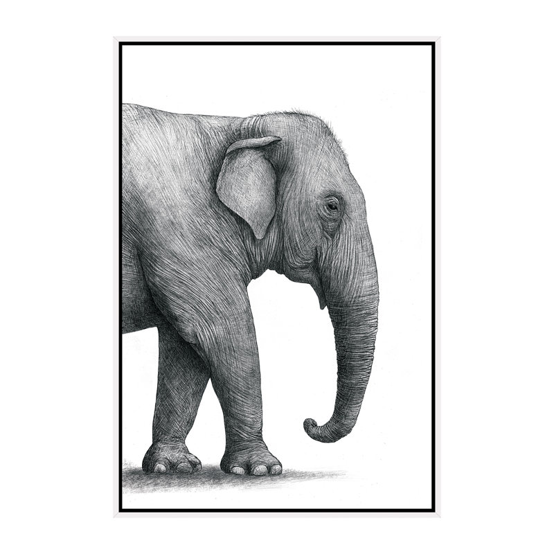 «Elephant Study» par Terry Fan - impression, H 60 po x l 40po x P 1,5 po, Toile blanche encadrée, Pas de tapis