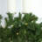 72 in. Lighted Fresh Faux Artificial Garland