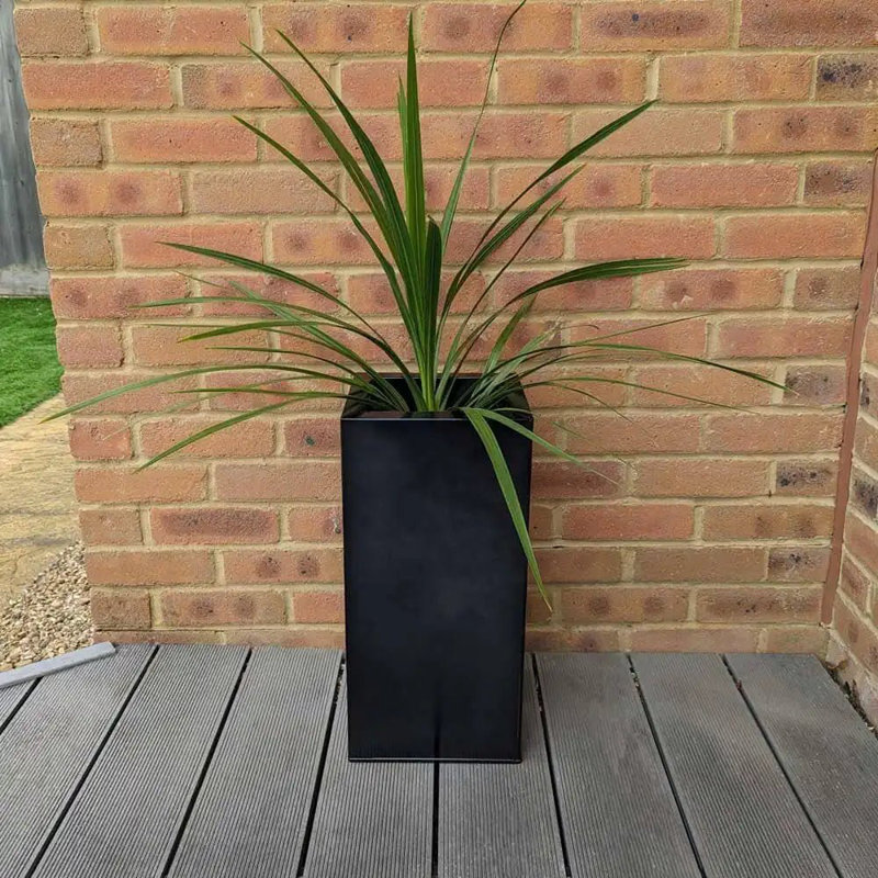 Babrow Metal Planter Box, Black, 50cm H x 25cm W x 50cm D