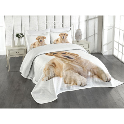 Adhamh White/Brown Microfibre Bedspread Set