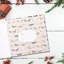 Paper Animals Album