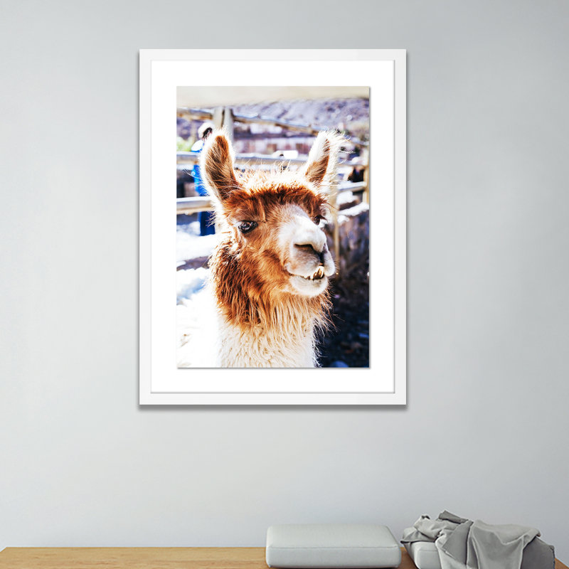 Llama BW Print by Erica Singleton, 24" H x 18" W x 1.5" D, White