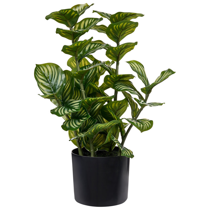 50 cm H Faux Plant in Cement Pot