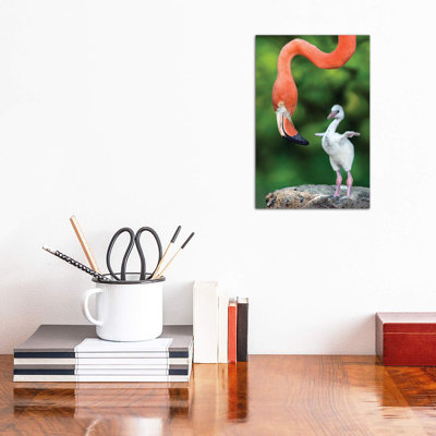 Flamingo With Chick by Xavier Ortega - Wrapped Canvas Print