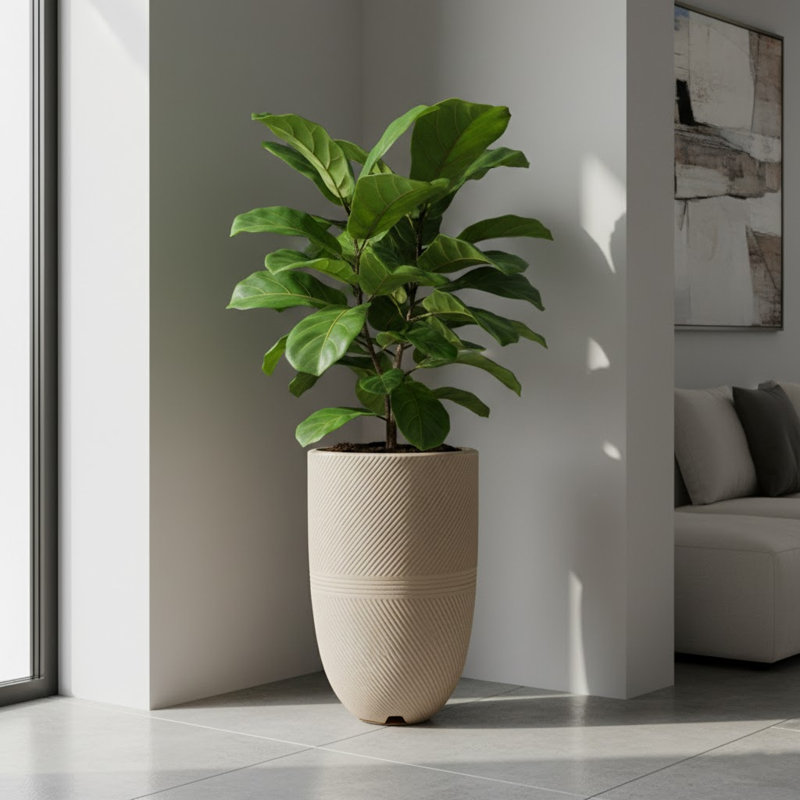 Pot à fleurs Floridis Argos Cachepot, H 22,44 po x l 13,8 po x P 13,8 po, Beige