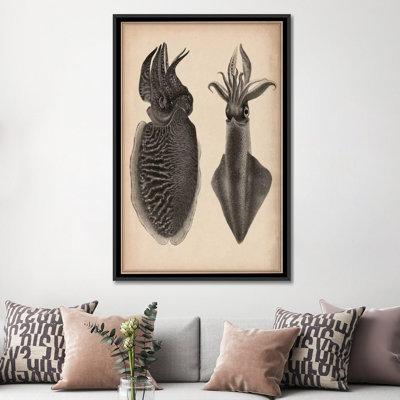 « animal octopus squid scientific », impression sur toile