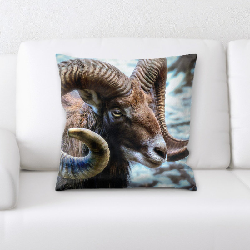 Coussin de mammifère