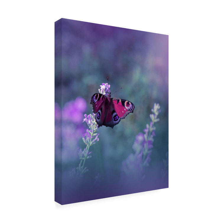 Trademark Art Juliana Nan Queen Of Flowersiii Canvas Art | Wayfair