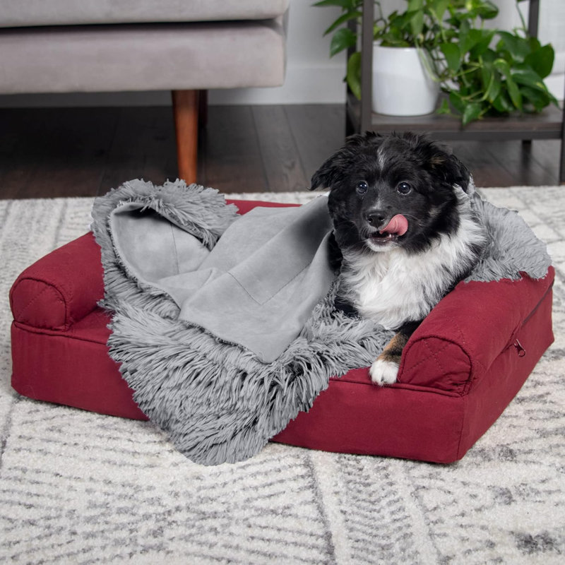 Couverture pour animaux, Gris