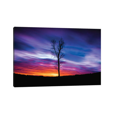 Lonely Sunset 1 Piece Wrapped Canvas Painting