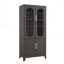 Rectangular Glass and Metal Lockable Iron Cabinet-1407127654