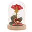 Disney Pastel Princess Florals In A Cloche With Neon Light Belle