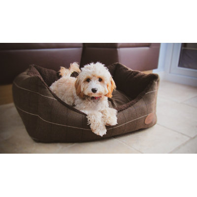 Belanger Pet Bed