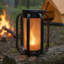 Renard flamme