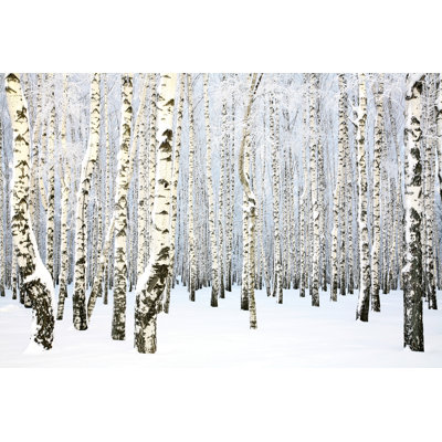 Russian Winter - Birch Grove by LeniKovaleva - Wrapped Canvas Print