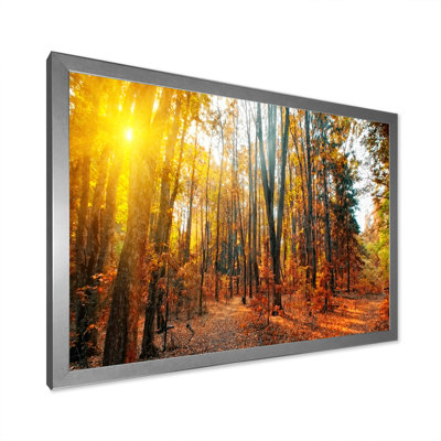 «Sunset Autumn Forest Panorama», reproduction sur toile