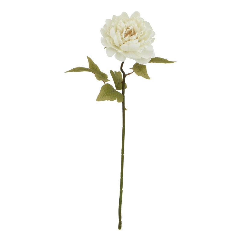 Anastasija Arrangement, 52 cm H x 5 cm W x 5 cm D, White