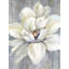 Fleur blanche sur bois - reproduction encadrée pour la décoration intérieure-550715132