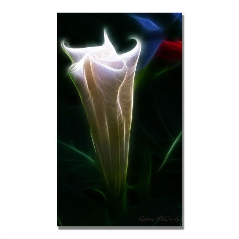 « moonflower bud » par kathie mccurdy,, impression sur toile tendue encadrée, H 24 po x l 14 po x P 2 po