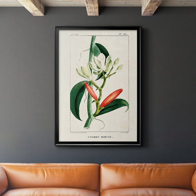 Turpin Tropical Botanicals IX, reproduction d'art encadrée