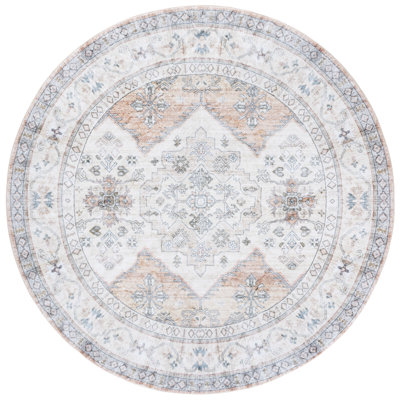 Atianna Performance Oriental Rug