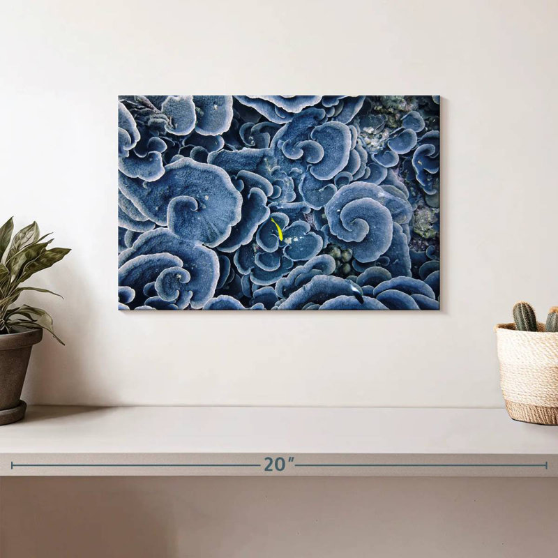 Crowle Cloud Shaped Blue Corals, 8" H x 12" W