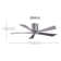 60" Irene 5-Blade Hugger Ceiling Fan with Wall Remote