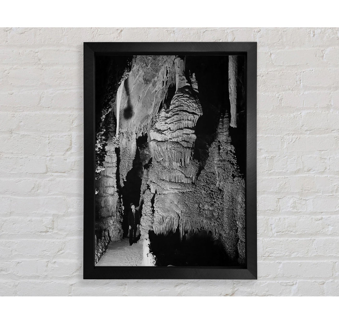 Ansel Adams Carlsbad Caverns National Park New Mexico 2 - Druck