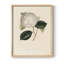 Impression florale rétro sur papier-649870551-649870550