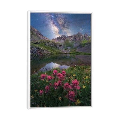 «San San Mountains Indian Paintbrush Wildflower Milky Way Nightscape», reproduction d'art sur toile encadrée