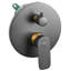 Concealed Shower Set with Rainshower GUARATUBA Black-1973508859