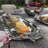 Amreena Stainless Steel Tray-24288617