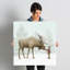 «Winter Moose» par Eric Fan - Impression sur toile-72692780-72692785-22648356