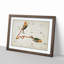 Astronomical Zodiac Chart Of The Pisces - Single Picture Frame Painting-57844184-57844183