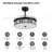 Magel 42'' Ceiling Fan with LED Lights