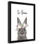 Le lapin est courage-48187568-48187588