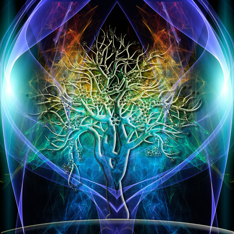 Tree Aura - impression sur toile tendue, H 12 po x l 12 po