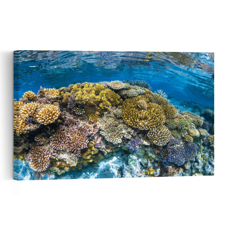 Impression murale Panoreef Ocean Tropical, H 24 po x l 36 po