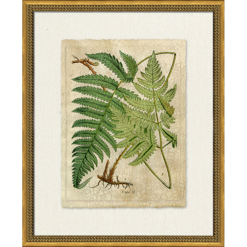 Crackled Fern Cluster I Painting