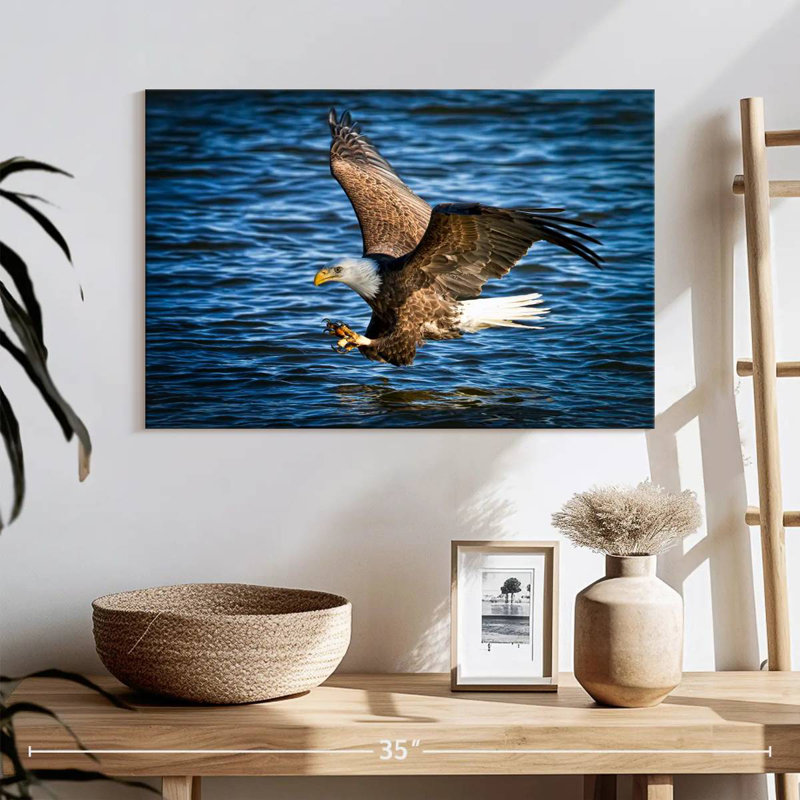 Aigle à tête blanche, H 16 po x l 24 po