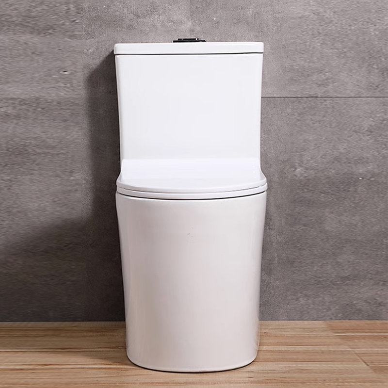 Yingze 1.6 GPF Round Compact One-Piece Toilet 23 inches Depth (Seat Included)