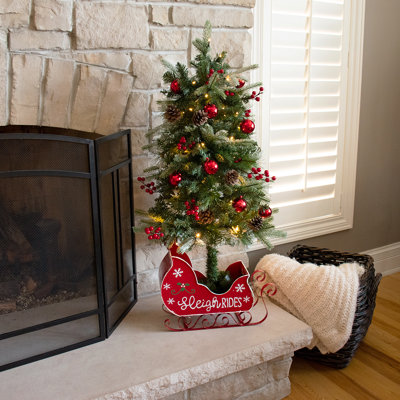 Lighted Christmas Tree