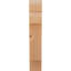 Corbeau méditerranéen-829457866-829457910-829457904