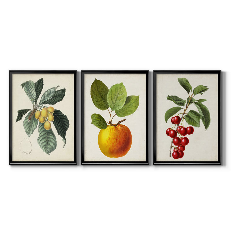 Antique Foliage & Fruit VI - Toile tendue avec châssis sur mesure - 3 pièces, Noir, H 19 po x l 27 po