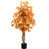 Orange sélectionné