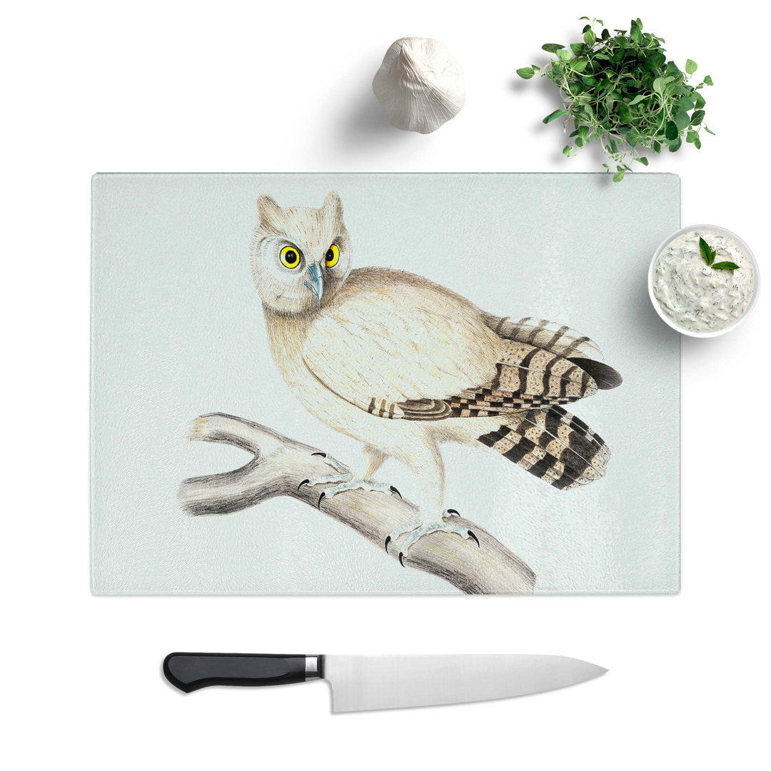 Tempered Glass Coromandel Owl Chopping Board