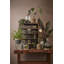 Isra Glass Terrarium-14406162