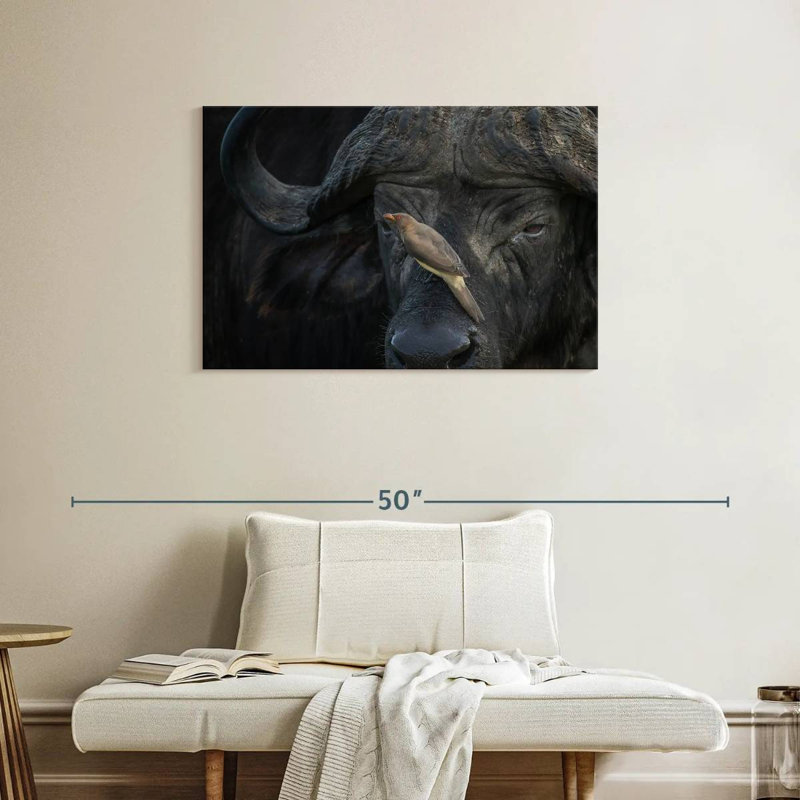 Brampt Bird On Buffalo, 24" H x 36" W