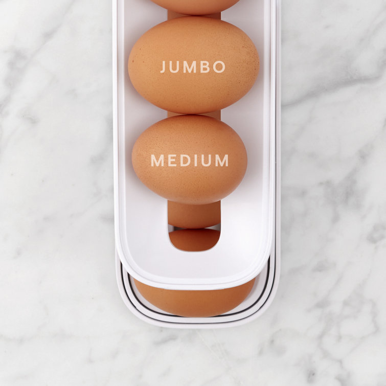 https://assets.wfcdn.com/im/24182676/resize-h755-w755%5Ecompr-r85/2088/208811911/YouCopia%C2%AE+RollDown%E2%84%A2+Refrigerator+Egg+Dispenser%2C+Space-Saving+Egg+Storage.jpg
